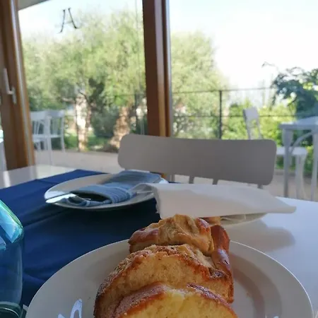 Alimunera 4*