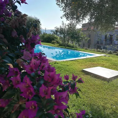 Hotel Alimunera Naso