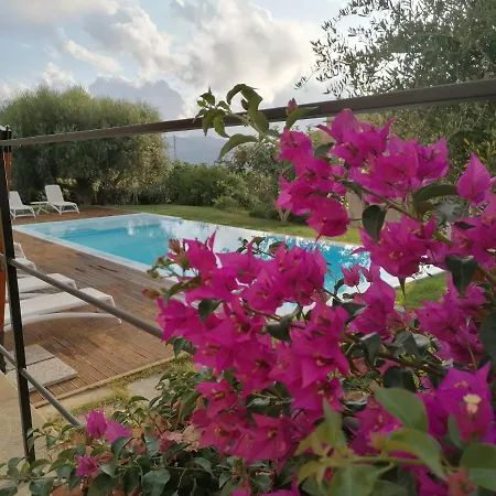 Hotel Alimunera 4*