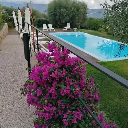 Alimunera Hotel