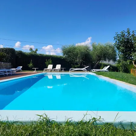 Hotel Alimunera 4*